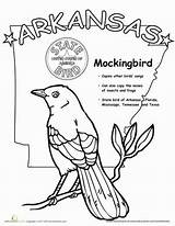 Arkansas Coloring State Worksheets Bird Designlooter 95kb 389px Worksheet Grade sketch template
