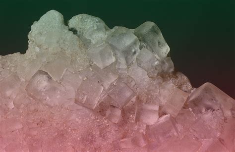 growing salt  vinegar crystals