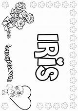 Iris Coloring Pages Roses Print Color Getcolorings Printable Names Hellokids sketch template