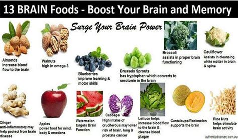 13 Brain Foods To Boost Your Memory
