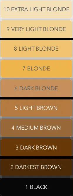 hair color number system works ugly duckling
