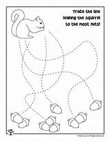 Tracing Squirrel Kindergarten Trace Woojr Woo sketch template