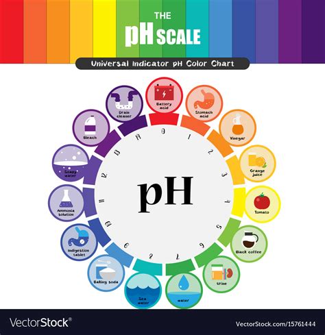 ph scale universal indicator color chart vector image