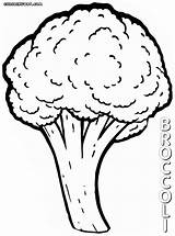 Broccoli Coloring Pages Colorings sketch template