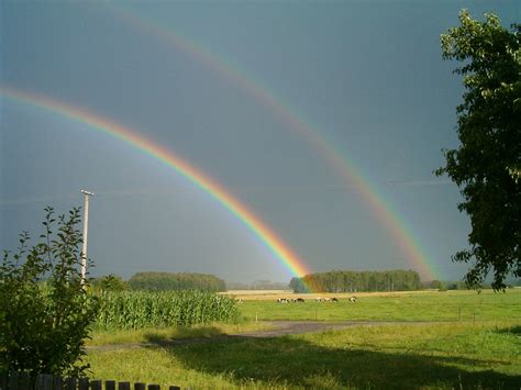 double rainbow  photo  freeimages