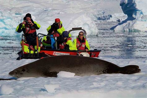 15 Day Adventure To Antarctica With Expedition Cruise Antarctica
