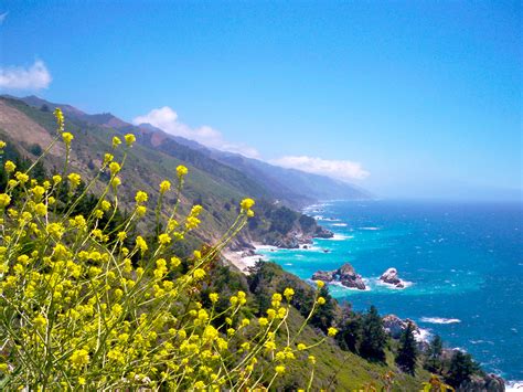 scott macleod s anthropology of information technology and counterculture big sur coastline