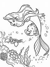Ariel Coloring Mermaid Pages Little Cartoon Girls Print sketch template