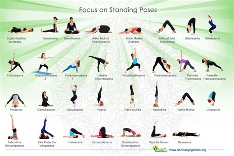 standing yoga poses  beginners visually