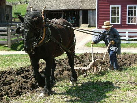 plowingits hard work     grandfather tilled  garden  year