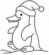 Pinguim Natal Animais Pinguins Pintarcolorir Pinguino Tudodesenhos Pingouin Guardado Ainda Muitos sketch template