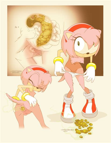 read rule 34 collection amy rose 1 hentai online porn manga and doujinshi