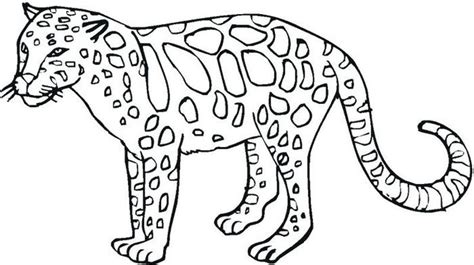 printable animal coloring pages   wild animals pictures