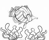 Fish Coloring Pages Realistic Aquarium Cool Ocean Printable Getcolorings Getdrawings Tank Drawing sketch template