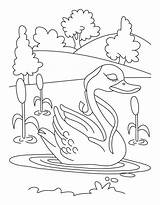 Lake Coloriages Template sketch template