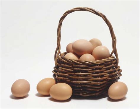 youre  resilient      eggbasket design