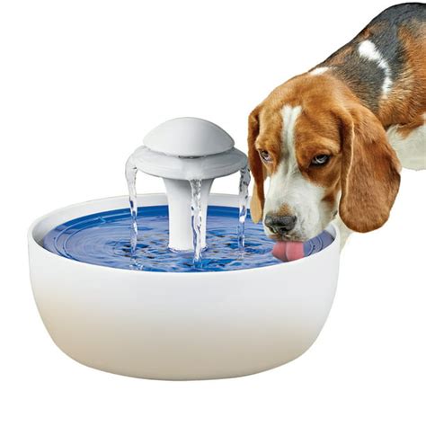 automatic pet water fountain  charcoal filter  fountain
