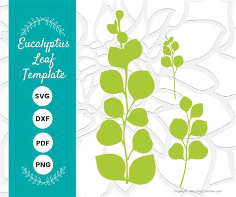 eucalyptus paper leaf template eucalyptus vine svg eucalyptus svg dxf