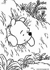 Pooh Coloring Pages Bear Hole Printable Stuck Drawing Winnie Color Gif Info Friends Adult Colouring Print Comments Freecoloring Library Clipart sketch template
