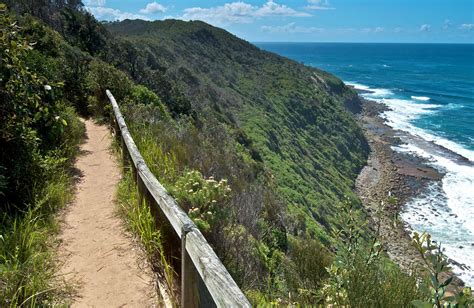 coast walking track visitor info nsw national parks