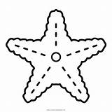 Seestern Starfish Ausmalbilder Colorir Estrela Bintang Laut Mewarnai Colorare Buku Iconfinder Ultracoloringpages sketch template