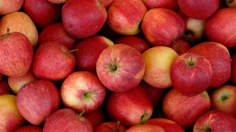 Apples 101 Which Are The Best For Baking Cooking And Eating Fox News