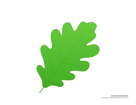 oak leaf drawing template  getdrawings