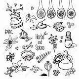 Spices Drawing Herbs Getdrawings Royalty sketch template
