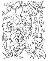 Dieren Animals Colouring Printable Malvorlagen Dschungeltiere Ausmalbilder Dschungel Volwassenen Safari Stoere Baloo Zoo Downloaden Coloriages Tiere Grove Bestcoloringpages Colorier Uitprinten sketch template