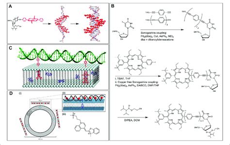 solid phase automated dna synthesis