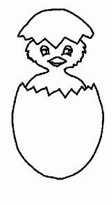 Chick Hatching Coloring Pages Just sketch template