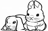 Bunny Coloring Pages Cute Bunnies Baby Print Rabbit Color Real Kids Cat Animals Some Family Popular Coloringtop sketch template