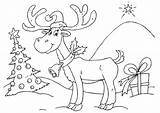 Reindeer Coloring Large Pages sketch template