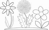 Boyama Cicek Flowers Vektor Pixabay Crayon sketch template