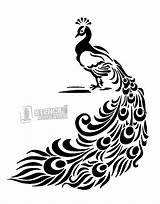 Stencil Peacock Stencils Printable Clipart Bird Designs Border Drawing Patterns Printables Line Coloringhome Save Start Time Silhouettes Templates Painting Wall sketch template