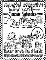 Tercer Recortable Naturales Trimestre Interactivo Materiales sketch template