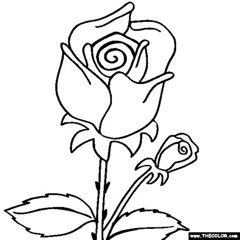 rose flower coloring page rose coloring