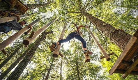 adirondack extreme treetop adventure park zipline   york