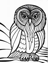 Owl Coloring Pages Color Outline Owls Adults Bird Cool Printable Drawing Cartoon Cute Kids Adult Clipart Birds Print Template Books sketch template