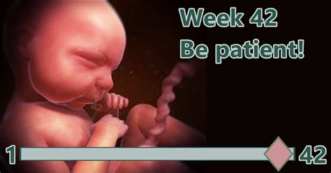 birthwatch week   allowing  baby birthwatch