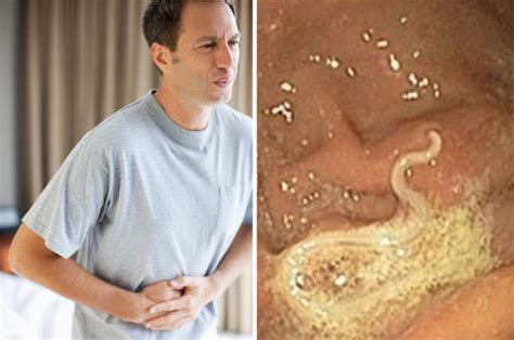 this popular lunch food could be filling you with parasites mens and