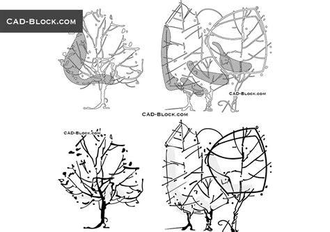 pin  trees plants