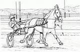 Cavalos Cavalo Harness Pferde Trotter Caballos Carreras Barrel Caballo Clydesdale Riding sketch template