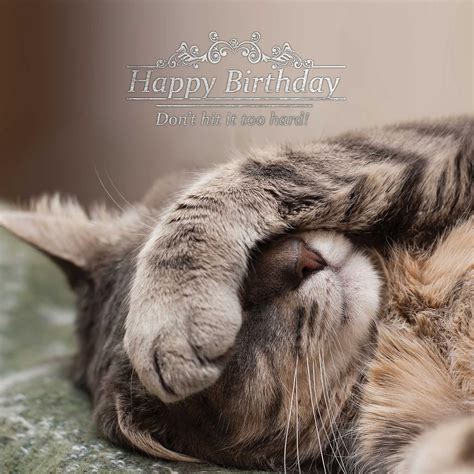 pin  cards cat birthday card  printable birthday cards