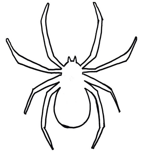 spider shape template  crafts colouring pages  premium