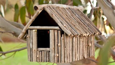 diy birdhouses   feathered friends
