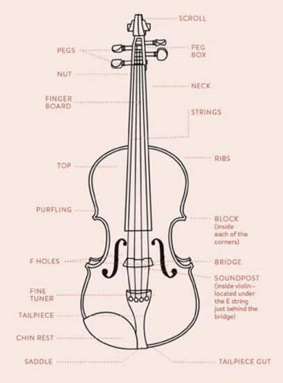 parts   violin     work learn   violins  key