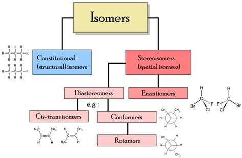 isomer definition types   quiz biology dictionary