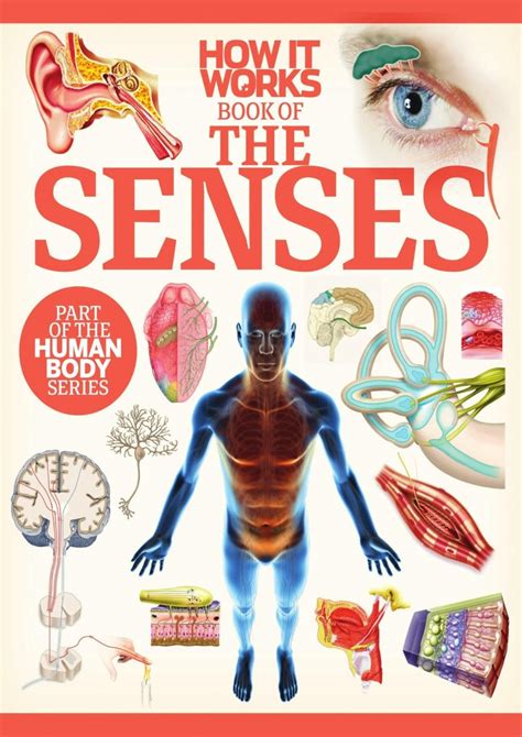 works book   senses  june  scientificmagazines