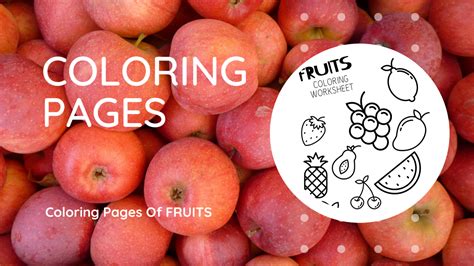 coloring pages  fruits  preschool